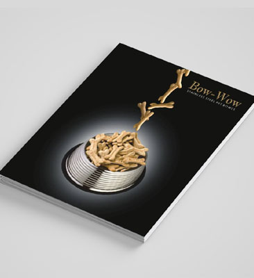 bowl brochure design